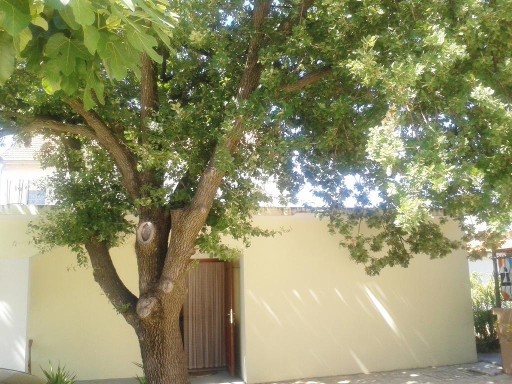 Apartments Angela Biograd Na Moru Zewnętrze zdjęcie